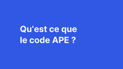 Qu'est-ce que le code APE ?