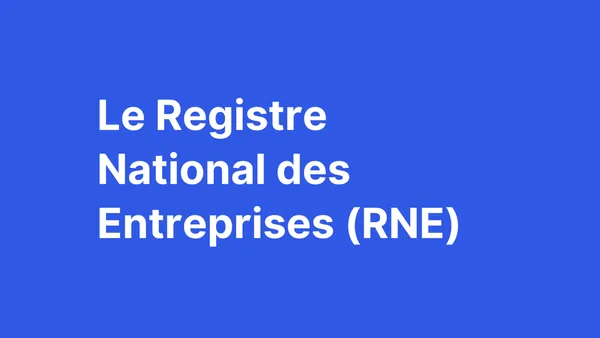 Tout savoir sur le Registre National des Entreprises (RNE)
