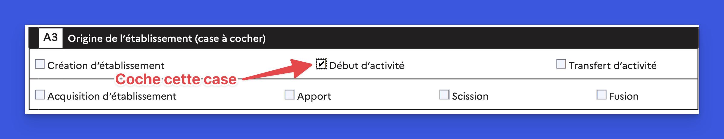 illustrationla-micro-by-flo