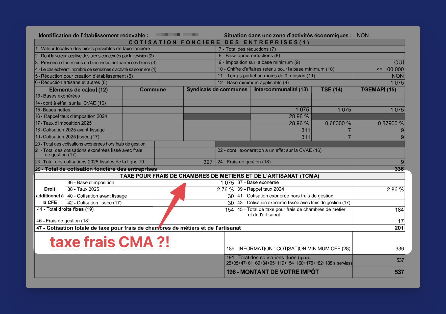 Avis de CFE en micro-entreprise : comment le décrypter et corriger les erreurs | La Micro by Flo illustrationla-micro-by-flo