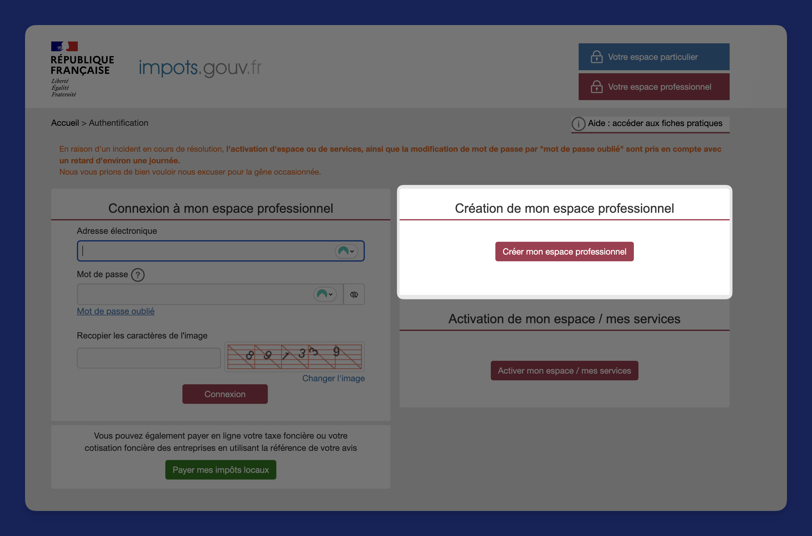 Page d'accueil du site impots.gouv.fr avec le bouton Créer mon espace professionnel mis en évidence