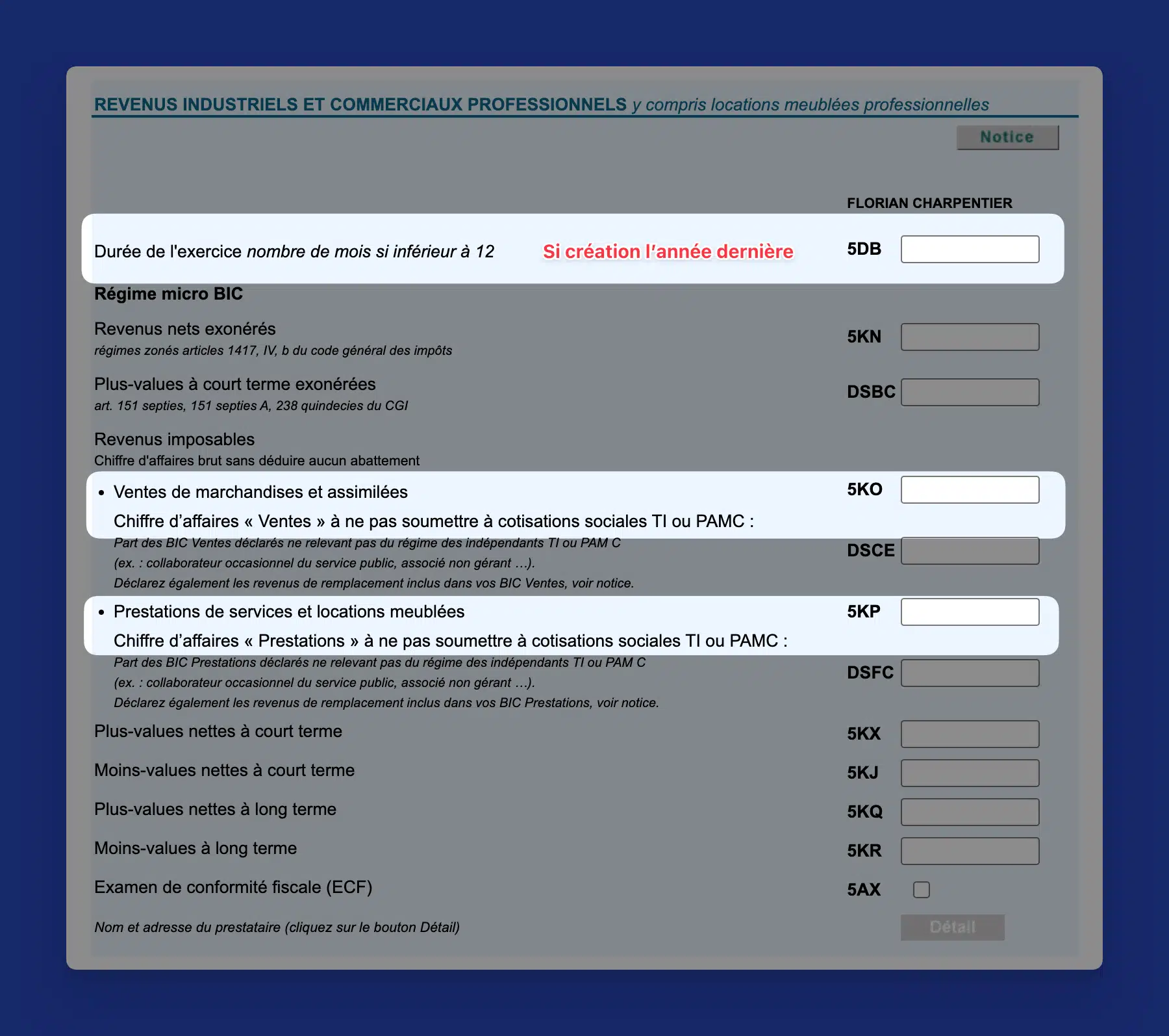 Formulaire 2042-C-PRO cases 5KO et 5KP pour déclarer le chiffre d'affaires micro-BIC du déclarant 1 sur impots.gouv.fr