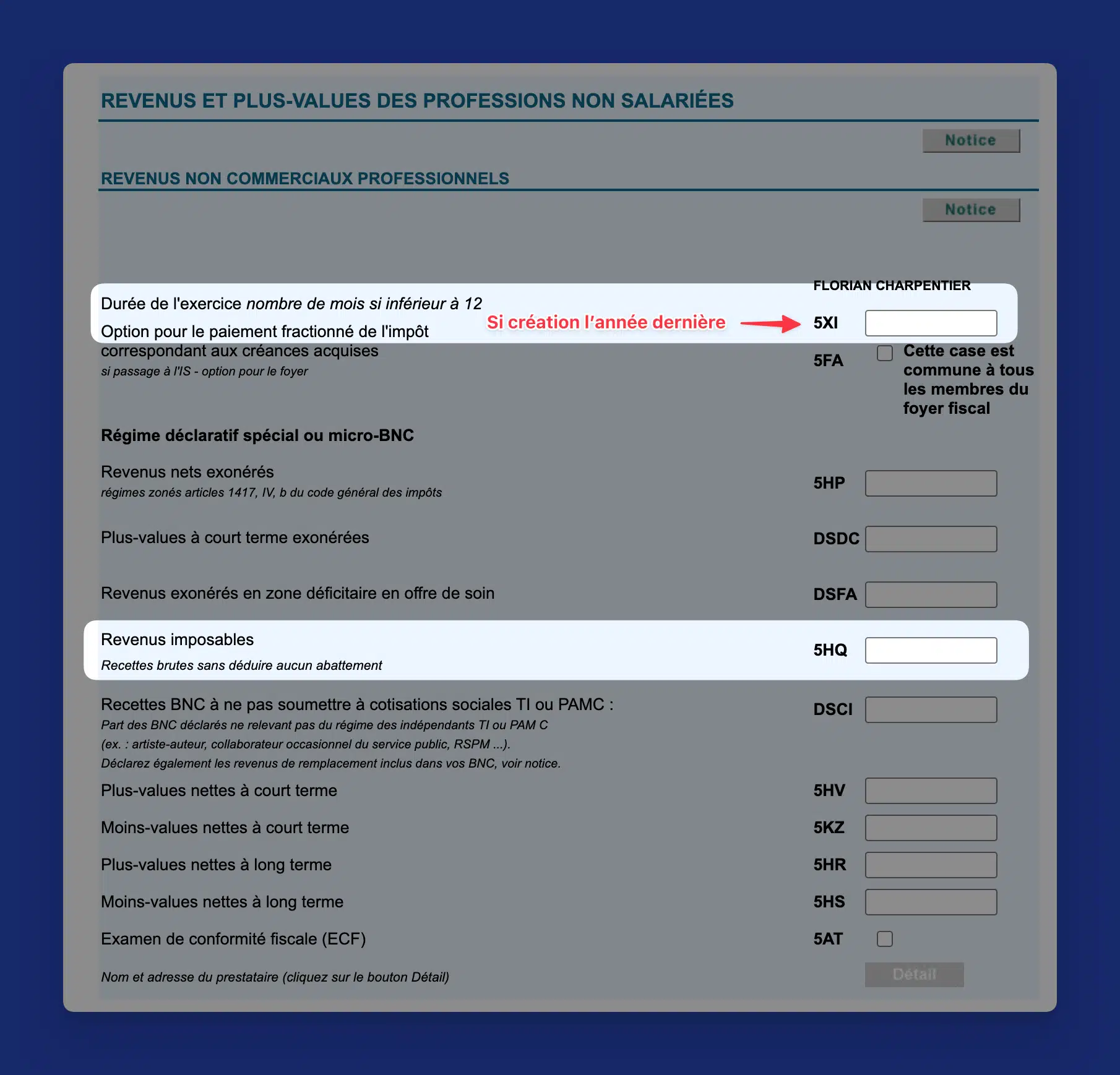 Formulaire 2042-C-PRO case 5HQ pour déclarer les recettes micro-BNC du déclarant 1 sur impots.gouv.fr
