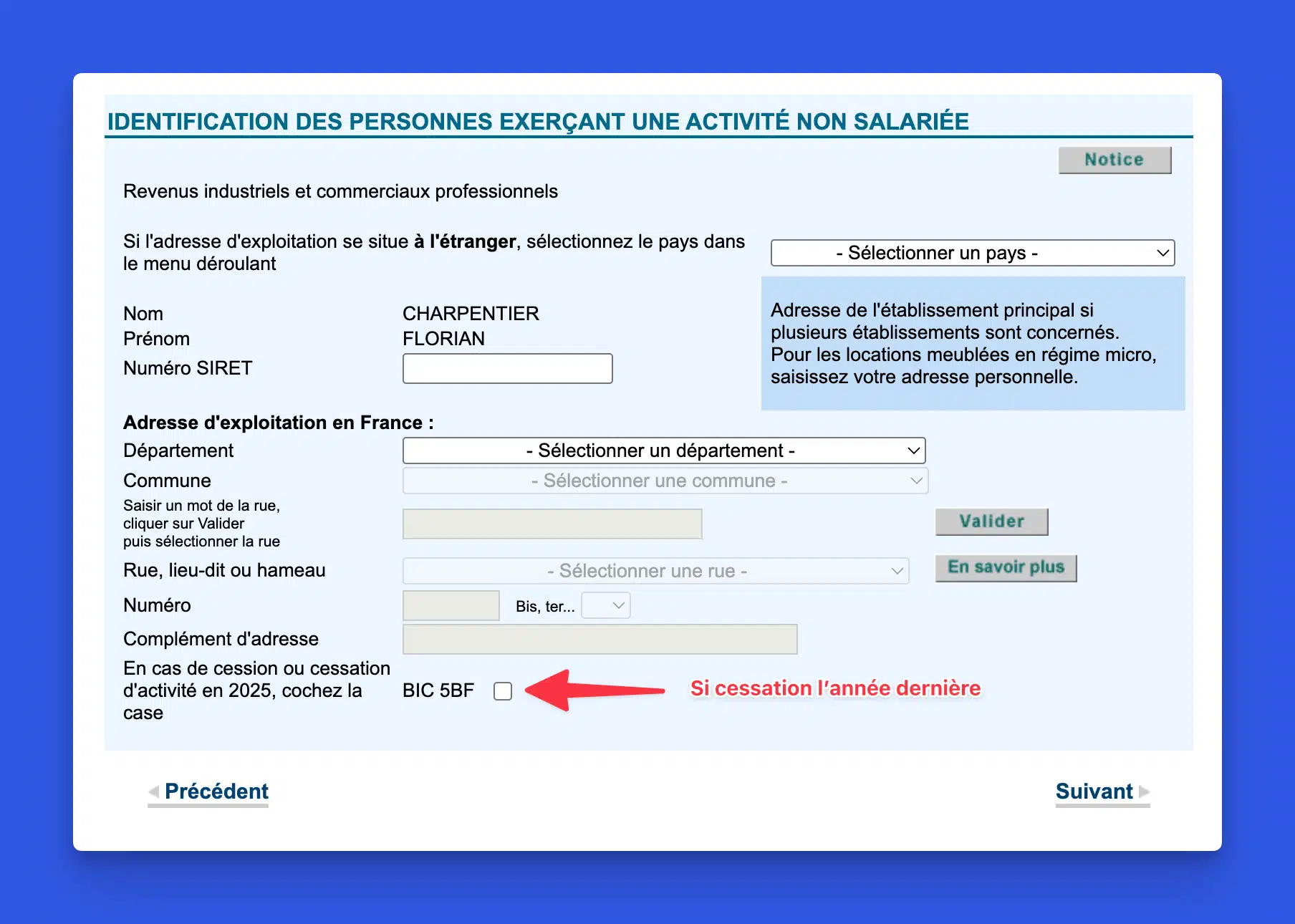 Page d'identification de l'activité BIC du déclarant 1 avec la case 5BF à cocher en cas de cessation sur impots.gouv.fr