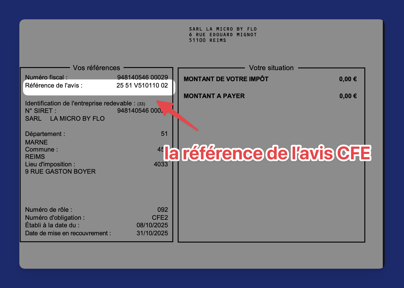 Avis de CFE en micro-entreprise : comment le décrypter et corriger les erreurs | La Micro by Flo illustrationla-micro-by-flo